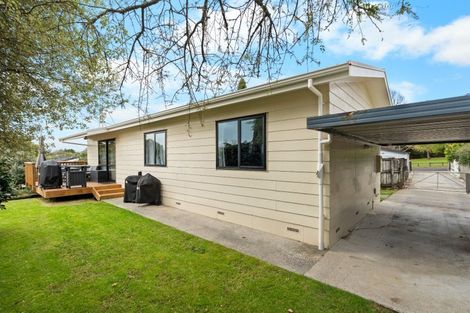 Photo of property in 15 Sillary Street, Hamilton East, Hamilton, 3216