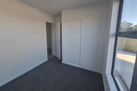 Photo of property in 39 Wilkin Street, Woodend, 7610