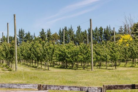 Photo of property in 51 Opaki Kaiparoro Road, Opaki, Masterton, 5882