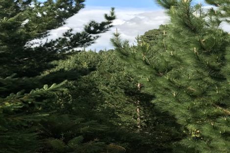 Photo of property in 487 Whangamata Road, Kinloch, Taupo, 3377