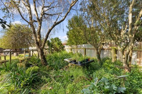 Photo of property in 16 Punga Street, Tangimoana, 4822