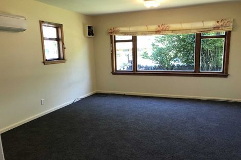 Photo of property in 40 Colombo Street, Cashmere, Christchurch, 8022