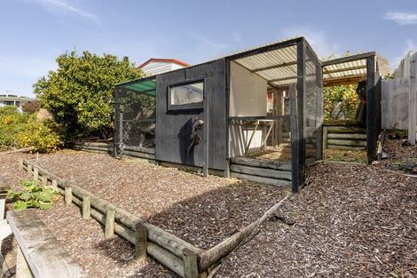 Photo of property in 11 Ruamoana Place, Omokoroa, 3114