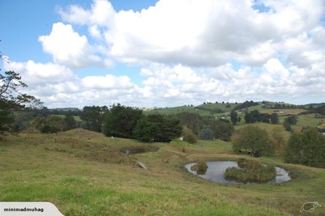 Photo of property in 229 Settlement Road, Kaiwaka, 0573