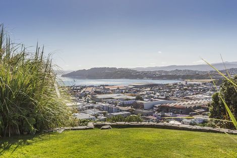 Photo of property in 38 Lerwick Terrace, Melrose, Wellington, 6022