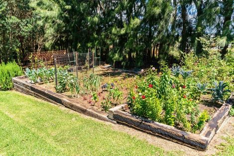 Photo of property in 379c Tara Road, Mangawhai, Kaiwaka, 0573