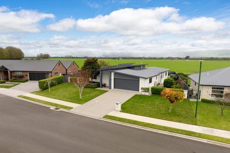 Photo of property in 17 Maple Place, Matamata, 3400