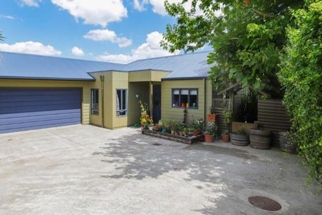 Photo of property in 19a Thomson Avenue, Dinsdale, Hamilton, 3204