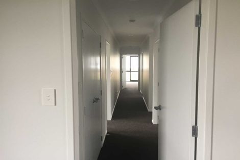 Photo of property in 41 Bert Wall Drive, Omokoroa, 3114