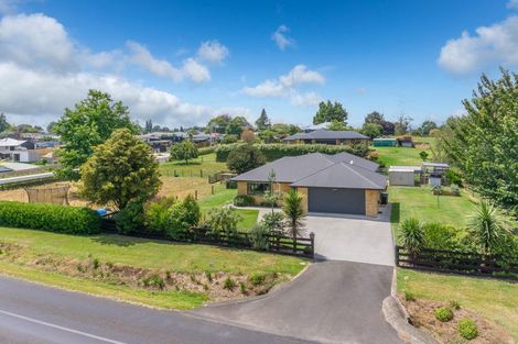 Photo of property in 17 Haultain Street, Kihikihi, Te Awamutu, 3800