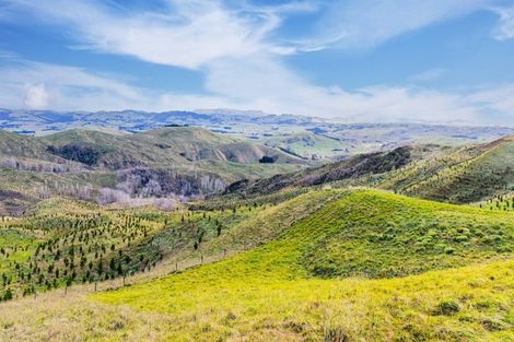 Photo of property in 638 Old Hill Road, Porangahau, 4291