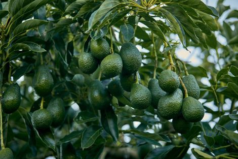 Photo of property in 6 Woodland Road, Johnsonville, Wellington, 6037