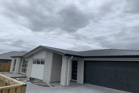 Photo of property in 8a Ruba Way, Ohauiti, Tauranga, 3112