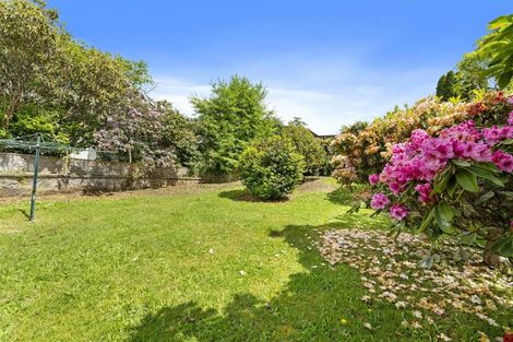 Photo of property in 184 Kawaha Point Road, Kawaha Point, Rotorua, 3010