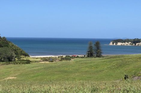 Photo of property in 2 Taha Puke Road, Okura Bush, Silverdale, 0794