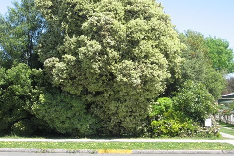 Photo of property in 610 Aberdeen Road, Te Hapara, Gisborne, 4010