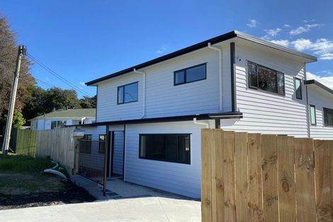 Photo of property in 105 Seabrook Avenue, New Lynn, Auckland, 0600
