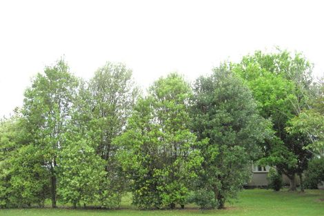 Photo of property in 40 Sedgewick Road, Opotiki, 3122