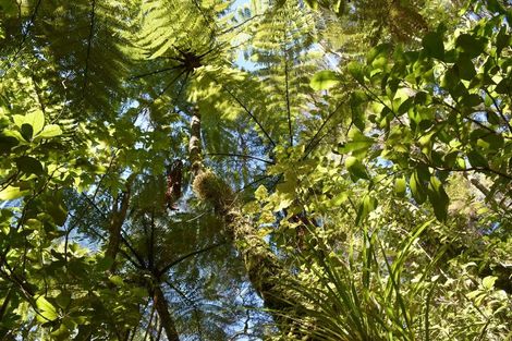 Photo of property in 89 Bethells Road, Waitakere, Auckland, 0782