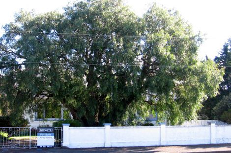 Photo of property in 41 Victoria Street, Masterton, 5810