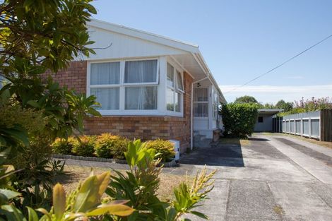 Photo of property in 14a Augusta Street, Fairfield, Hamilton, 3214