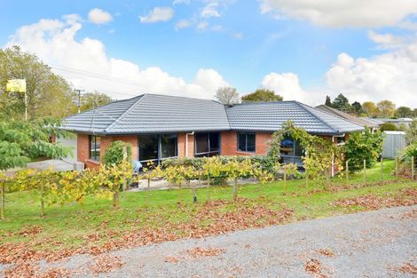 Photo of property in 43 Overdale Road, Putaruru, 3411