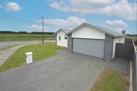 Photo of property in 42 Hurunui Drive, Te Awa, Napier, 4110