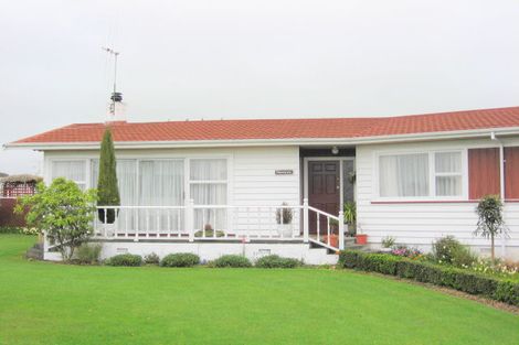 Photo of property in 654 Queen Street East, Levin, 5510