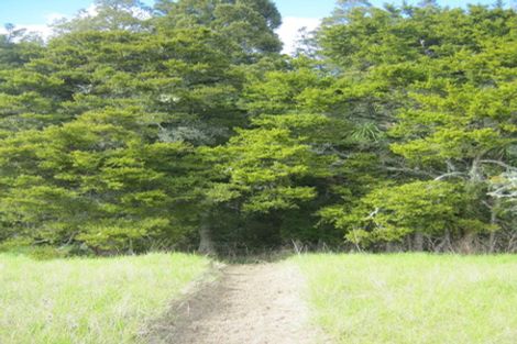 Photo of property in 237 Pahi Road, Pahi, Paparoa, 0571