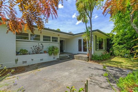 Photo of property in 41 Saint Albans Avenue, Hokowhitu, Palmerston North, 4410