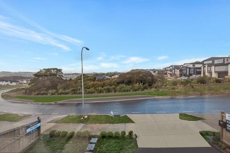 Photo of property in 48 Elevation Street, Flat Bush, Auckland, 2019