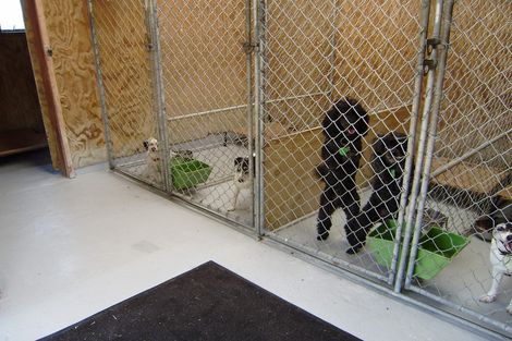 Photo of property in 349 Hauraki Road, Orongo, Thames, 3574