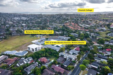 Photo of property in 43d Mirrabooka Avenue, Botany Downs, Auckland, 2010