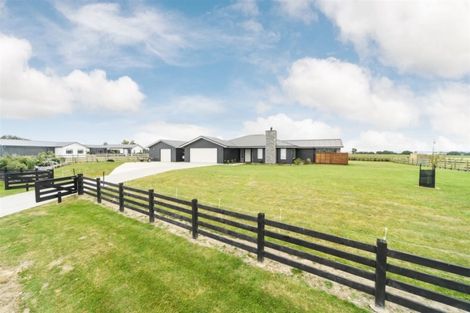 Photo of property in 61 Wapiti Avenue, Feilding, 4775