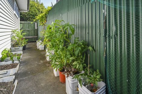 Photo of property in 18 Wycliffe Street, Onekawa, Napier, 4110