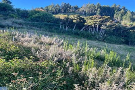 Photo of property in 6 Kereru Rise, Hanmer Springs, 7334