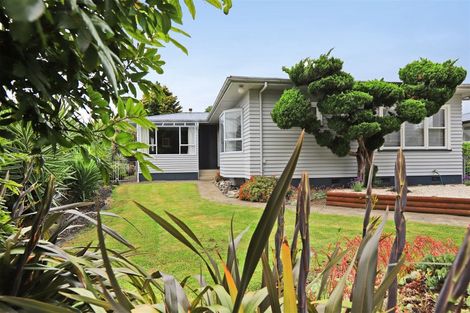 Photo of property in 33 Elliott Crescent, Havelock North, 4130