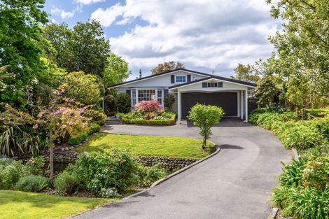 Photo of property in 32 Essex Street, Masterton, 5810