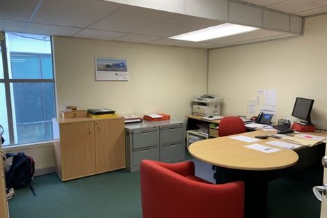 Photo of property in 8a Madeira Lane, Grafton, Auckland, 1023