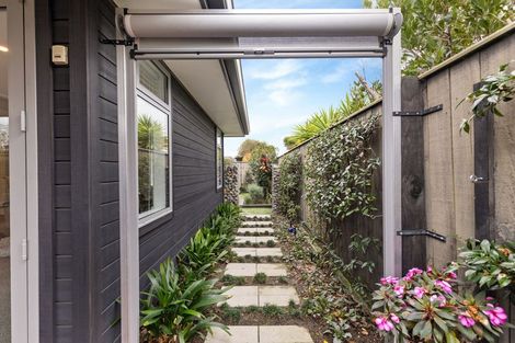 Photo of property in 60c Roy Street, Palmerston North, 4410