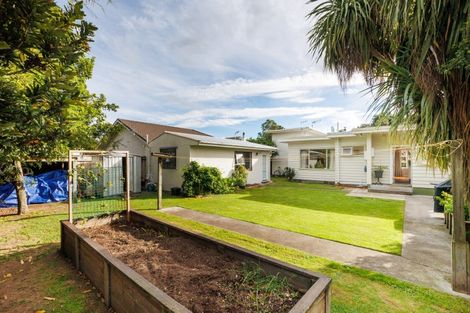 Photo of property in 17 Manawatu Street, Hokowhitu, Palmerston North, 4410