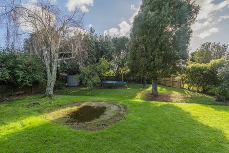 Photo of property in 49 South Highway East, Whitianga, 3510