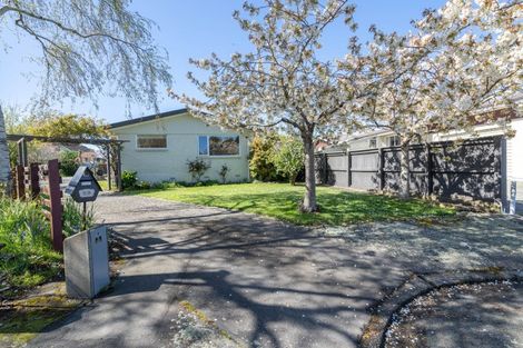 Photo of property in 59 Hillary Street, Winton, 9720