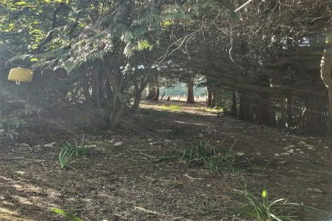 Photo of property in 565 Birch Road East, Herbertville, Dannevirke, 4970