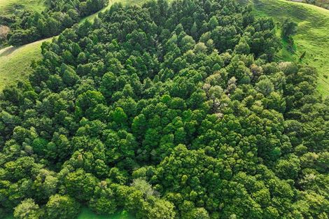 Photo of property in 435 Wairere Road, Paparoa, 0571