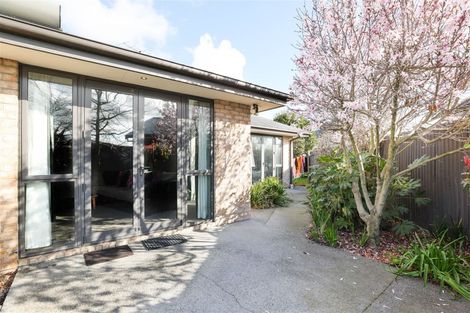 Photo of property in 17a Kerr Street, Netherby, Ashburton, 7700