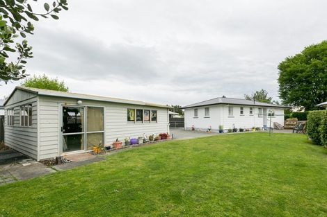 Photo of property in 13 Upham Street, Havelock North, 4130