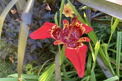 Photo of property in 125 Matangi Road, Matangi, Hamilton, 3284