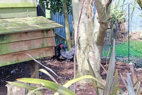 Photo of property in 40 Te Hape Road, Maunu, Whangarei, 0179