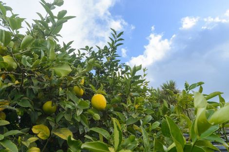 Photo of property in 27 Pinedale Parade, Milson, Palmerston North, 4414